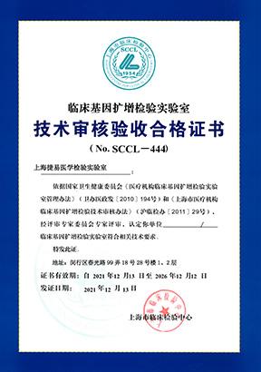 百乐森林舞会官网